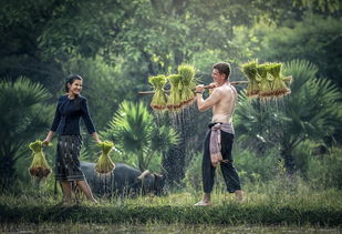 Xin lỗi, tôi không biết anh đang làm gì với chiếc xe của anh, đấy, có thể không?  第1张